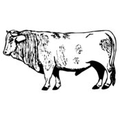 COW014