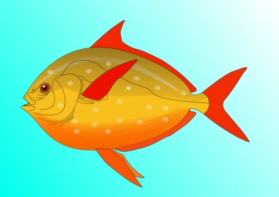 Machovka Fish