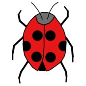 ladybug  3 