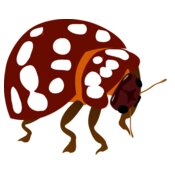 valessiobrito Bug
