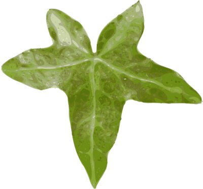 yves guillou leaf