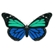Butterfly 02 Turquoise Blue  2 