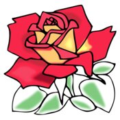 zeimusu Red rose