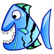 bluefish  2 