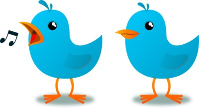 twitter bird evandro
