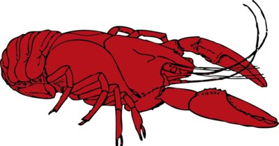 johnny automatic crayfish