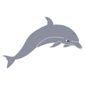 dolphin enrique meza c 02 mod  2 