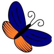 papillon bleu orange