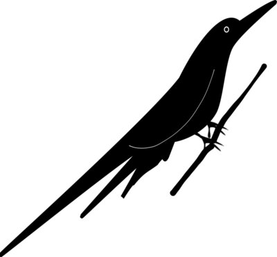 bird  6 