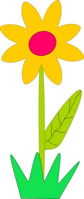 Machovka flower