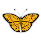 jilagan butterfly 2
