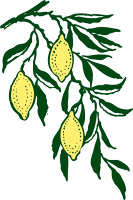 johnny automatic lemon branch