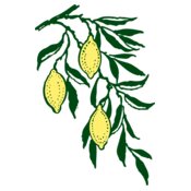 johnny automatic lemon branch