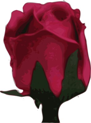 Rose  2 