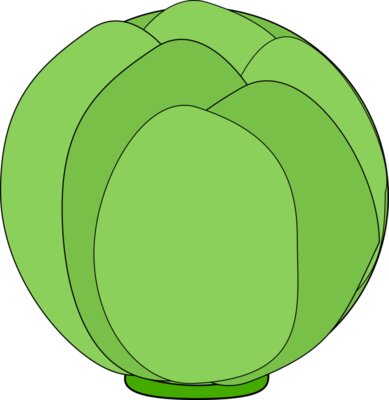 Machovka cabbage