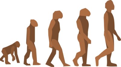 Anonymous evolution steps