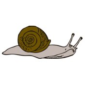 johnny automatic snail 2