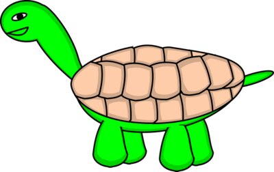 tortoise stage6