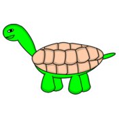 tortoise stage6