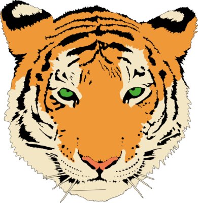 Anonymous Tiger  2 