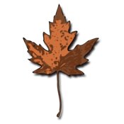jimmiet Maple Leaf