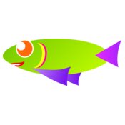 fish carib