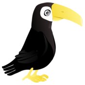 toucan   simple