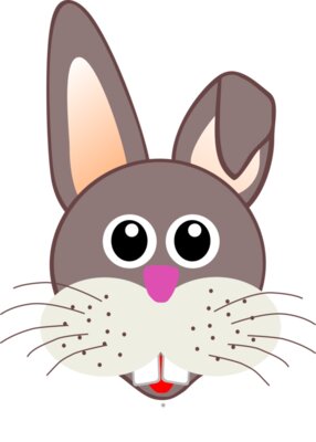 Rabbit 001 Face Cartoon
