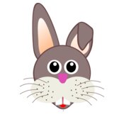 Rabbit 001 Face Cartoon