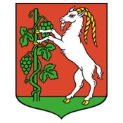 warszawianka Lublin   coat of arms