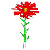 red flower  2 