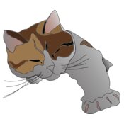 missiridia Sleepy Calico Cat