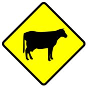 Leomarc caution cows crossing
