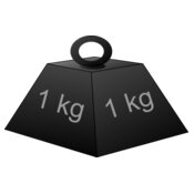1 kg weight