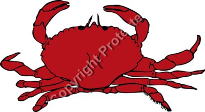johnny automatic crab