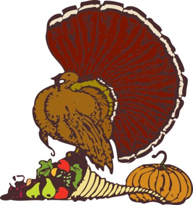 johnny automatic turkey and harvest