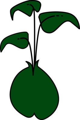 ikabezier plant