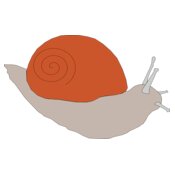 Machovka snail1