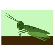 me4tanik grasshopper