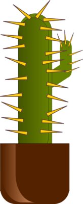 zesarvictoria cactus 1