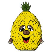 johnny automatic pineapple head