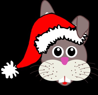 Rabbit 001 Face Cartoon with Santa hat