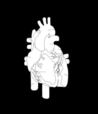 kablam The Human Heart