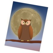 The Owl and The Moon