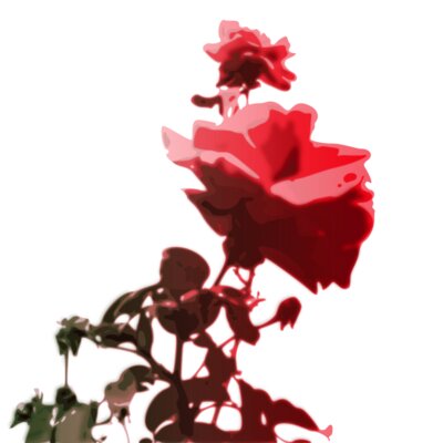 orru roses