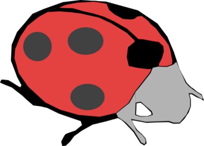 Machovka lady bug