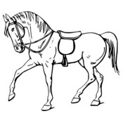 warszawianka Walking horse outline 1