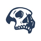 Elements Skulls logo template 103