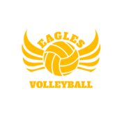 Volleyball 11