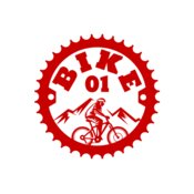 Bicycle 17